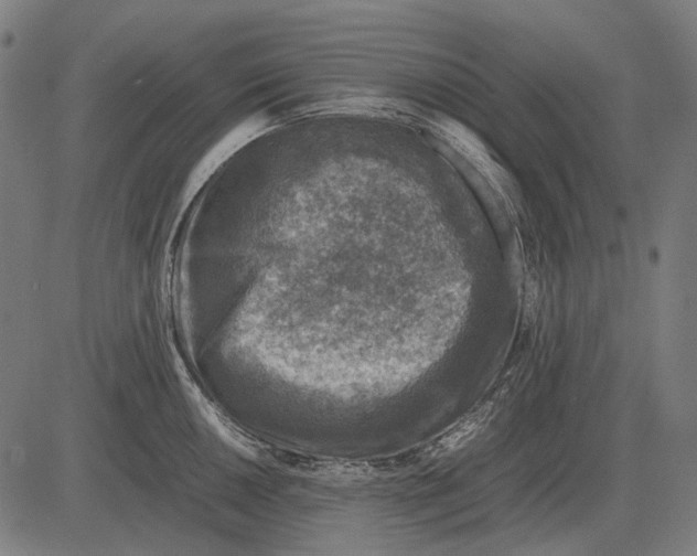 X0000081471050200702021827