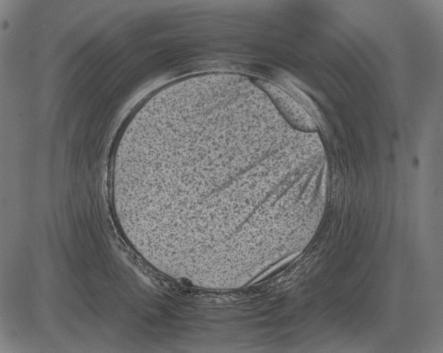 X0000081471051200702021827