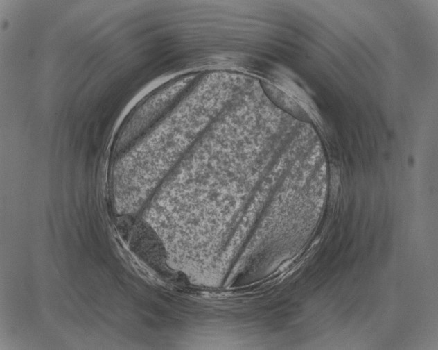 X0000081471052200702021827