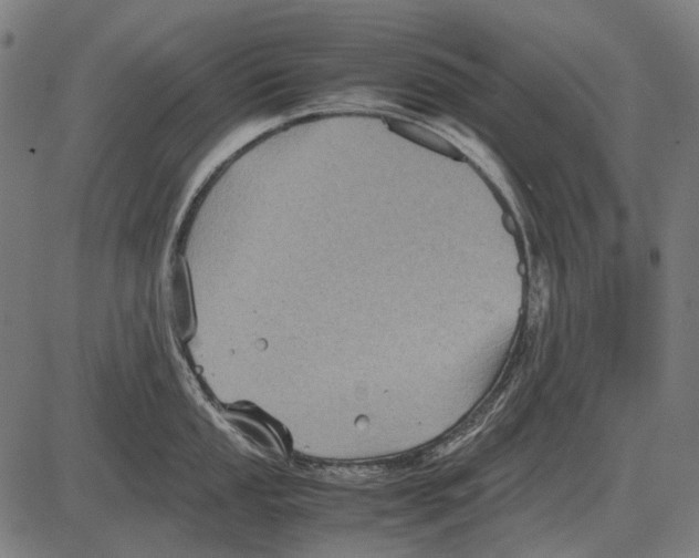 X0000081471053200702021827