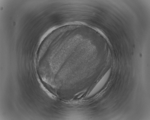 X0000081471054200702021827