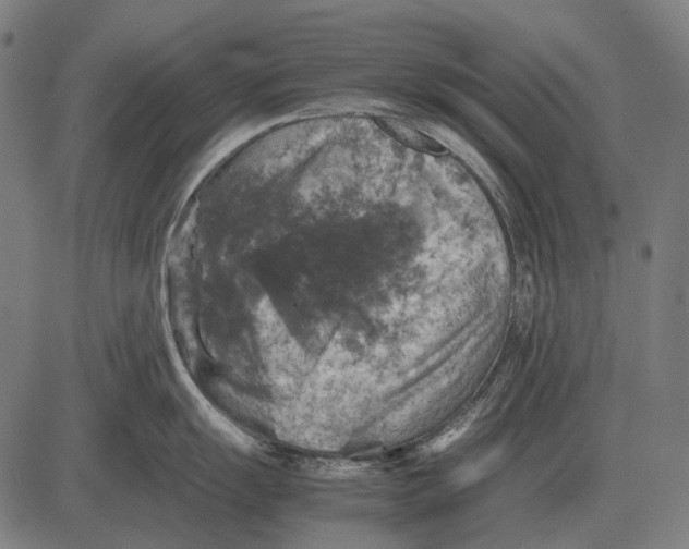 X0000081471055200702021827