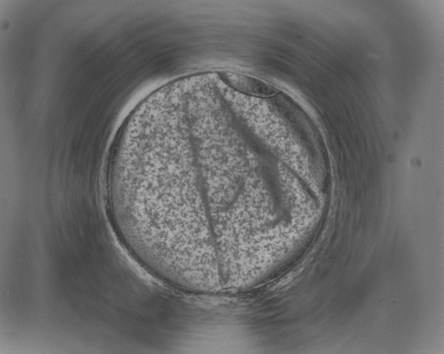 X0000081471056200702021827