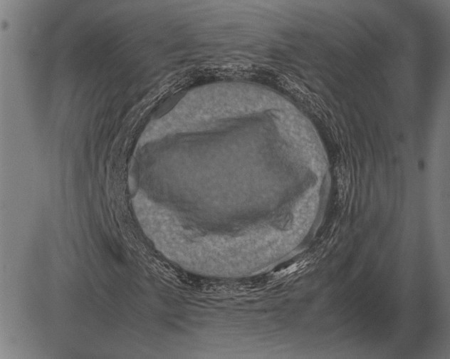 X0000081471057200702021827