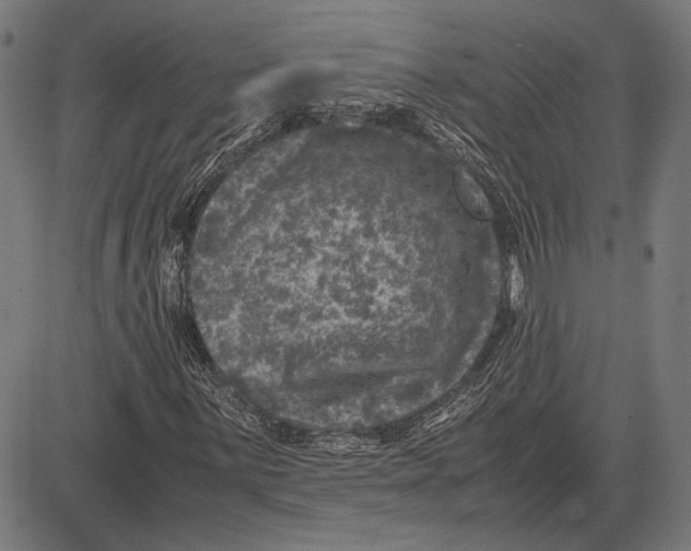 X0000081471059200702021827