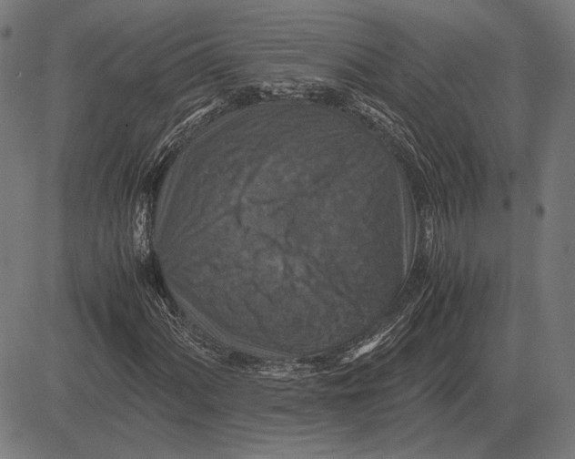 X0000081471060200702021827