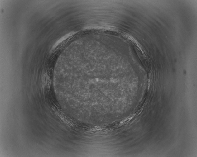 X0000081471064200702021827