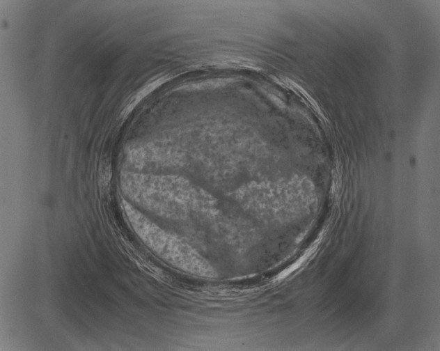 X0000081471065200702021827