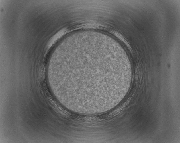 X0000081471067200702021827