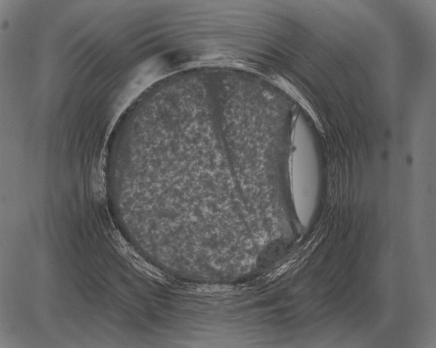 X0000081471068200702021827