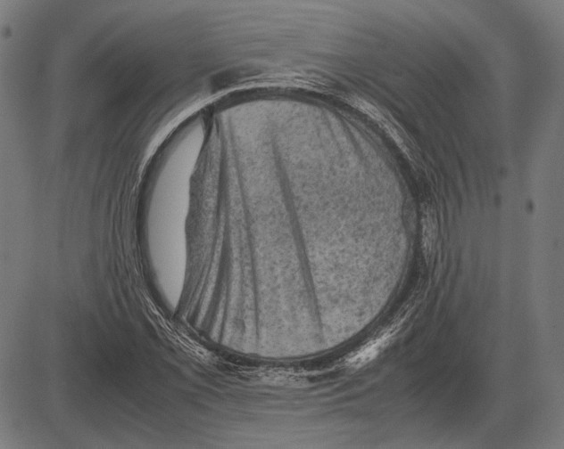 X0000081471069200702021826