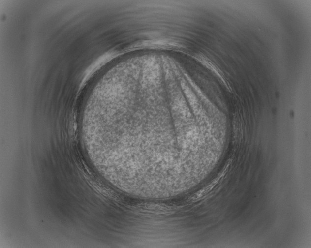 X0000081471070200702021826