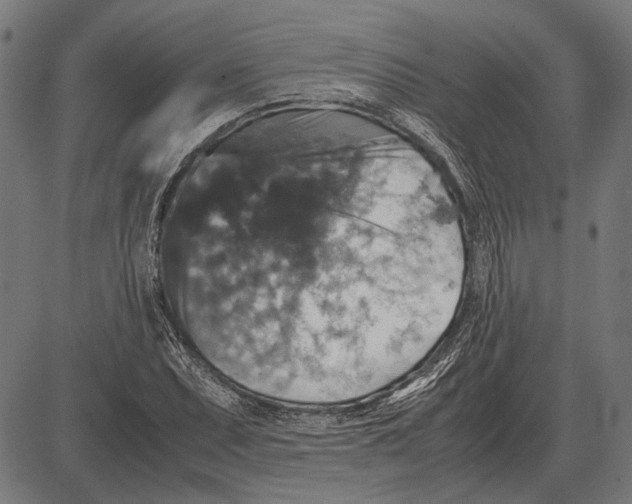 X0000081471071200702021826