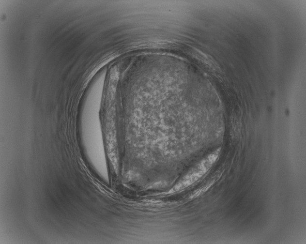 X0000081471073200702021826