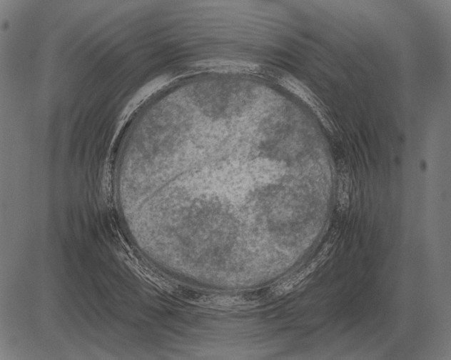 X0000081471074200702021826