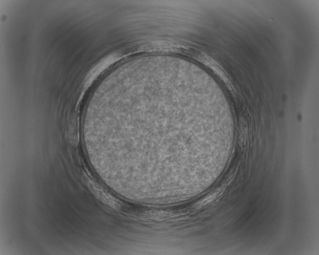 X0000081471075200702021826