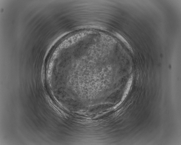 X0000081471076200702021826