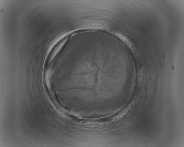 X0000081471077200702021826