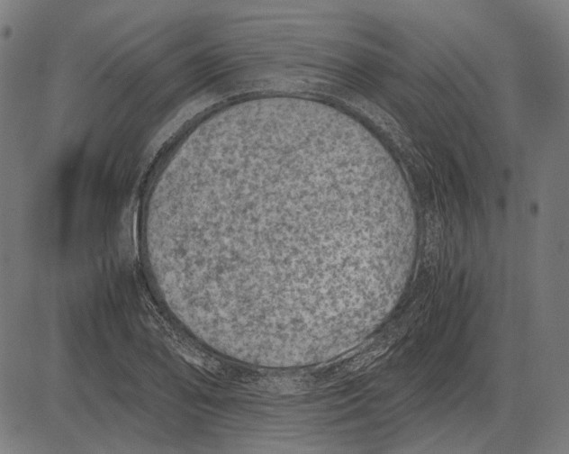 X0000081471078200702021826