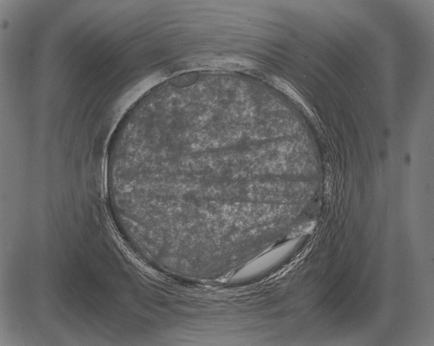 X0000081471079200702021826