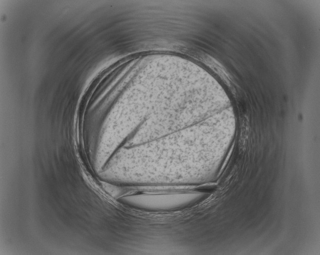 X0000081471080200702021826