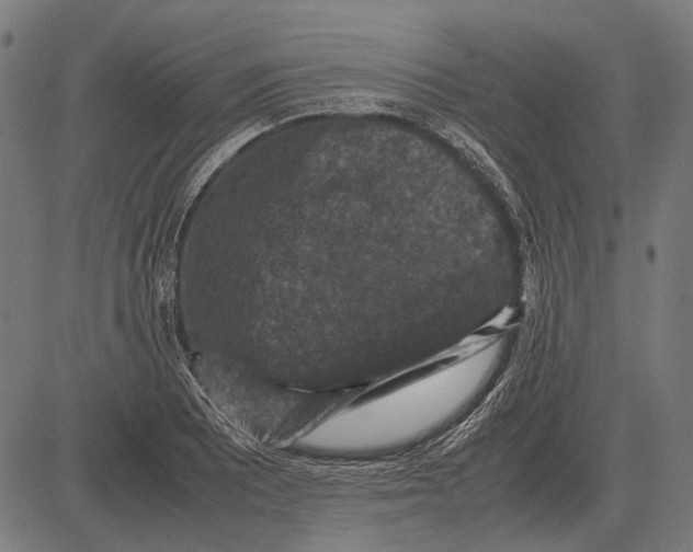 X0000081471081200702021826