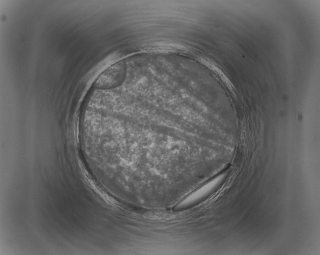 X0000081471083200702021826