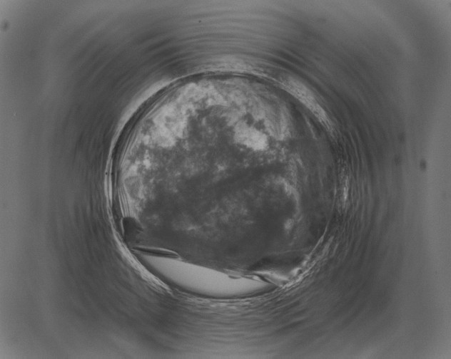 X0000081471084200702021826