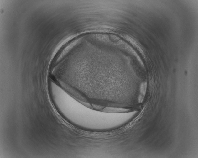 X0000081471085200702021826