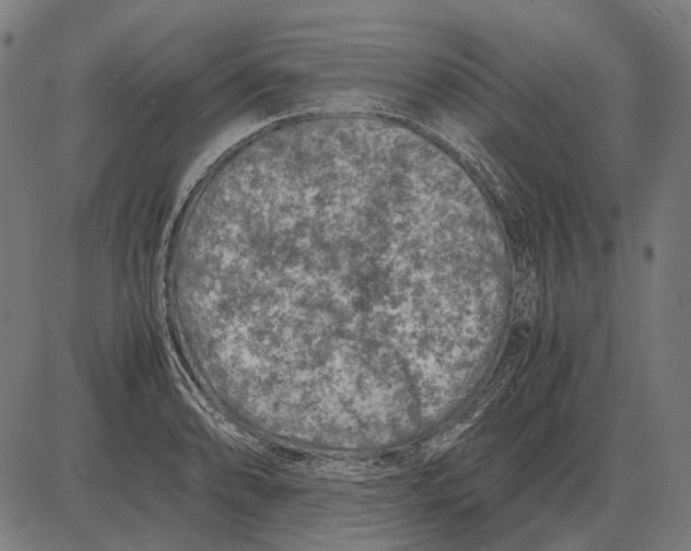 X0000081471086200702021826