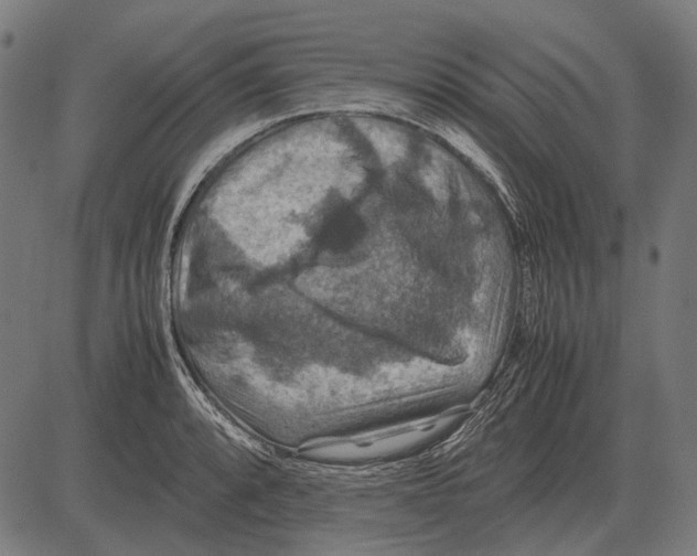 X0000081471088200702021826