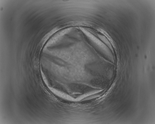 X0000081471089200702021826