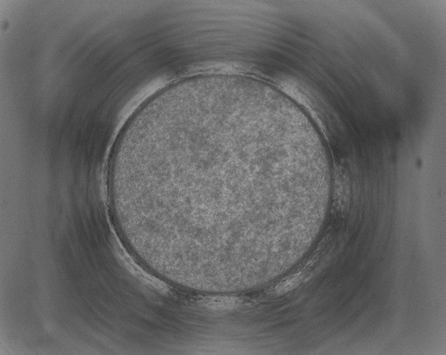 X0000081471090200702021826