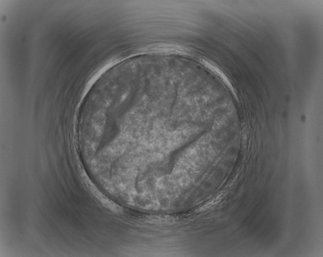 X0000081471091200702021826