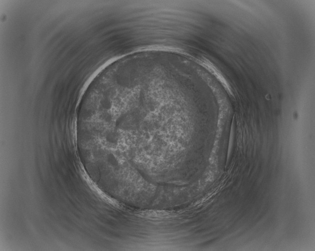 X0000081471092200702021826