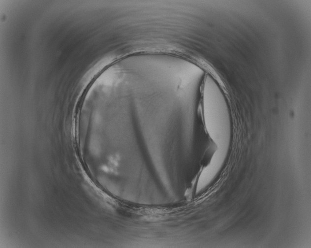 X0000081471095200702021826