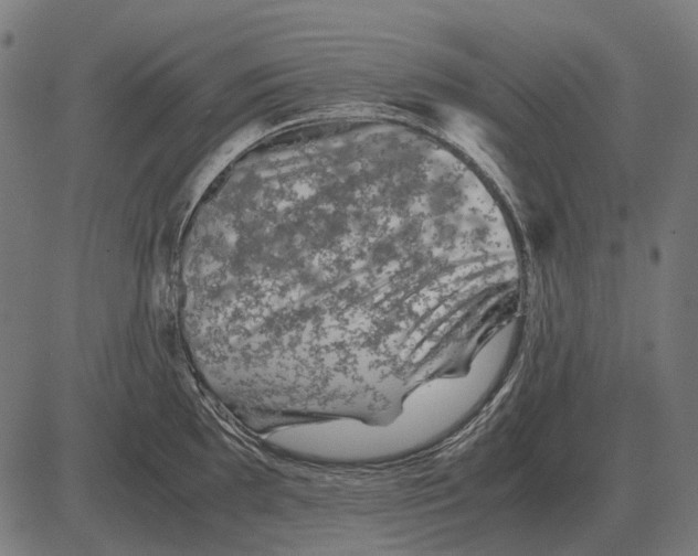 X0000081471097200702021826