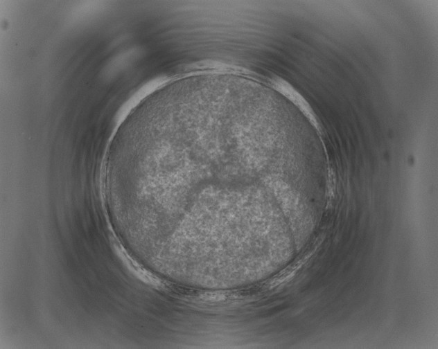 X0000081471098200702021826