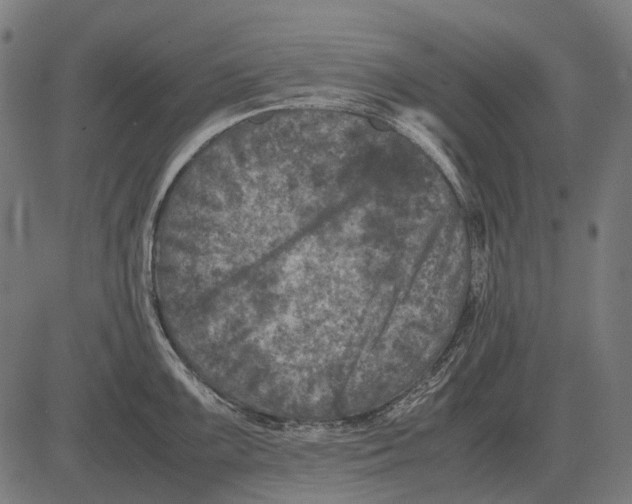 X0000081471099200702021826