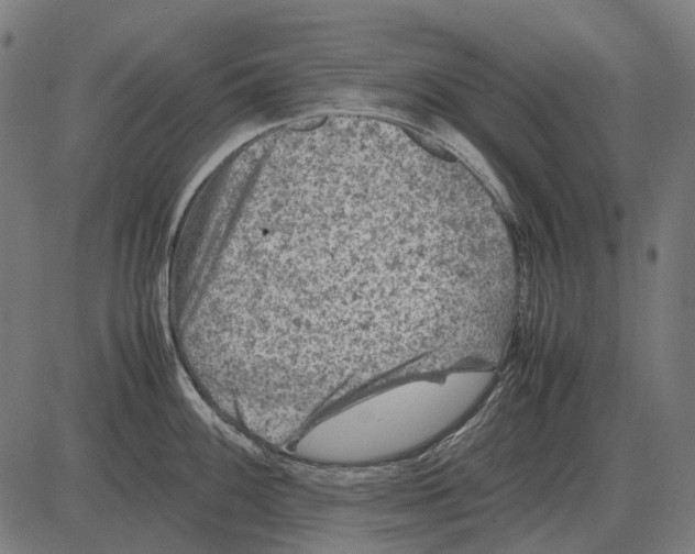 X0000081471100200702021826