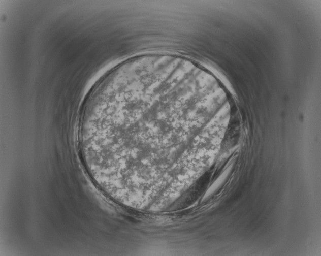 X0000081471101200702021826