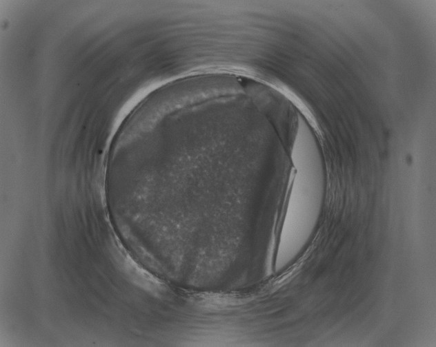 X0000081471102200702021826