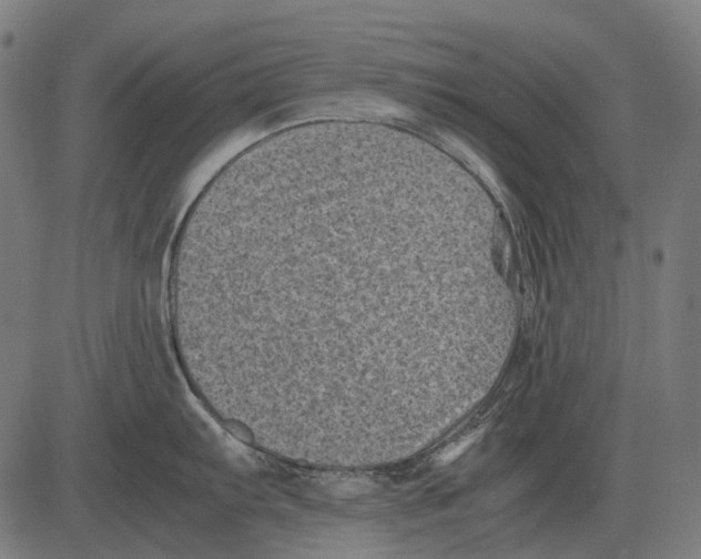 X0000081471103200702021826