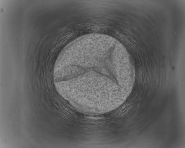 X0000081471105200702021825