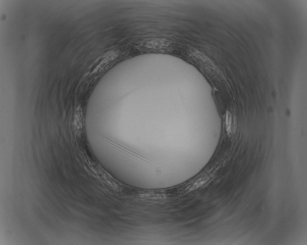 X0000081471107200702021825