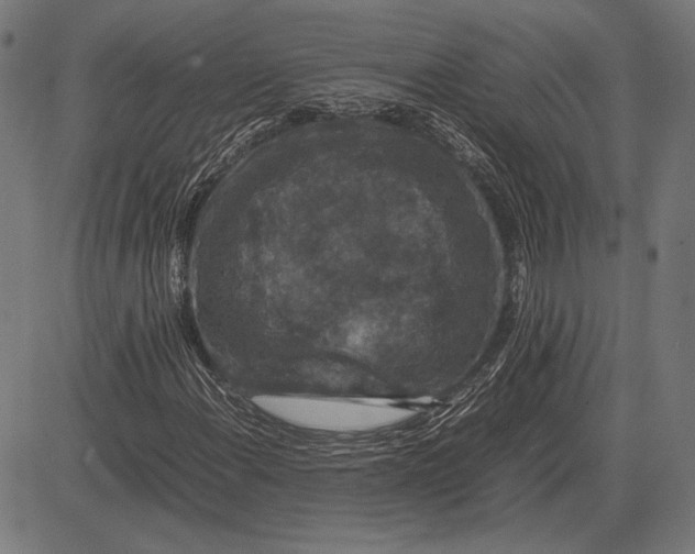 X0000081471108200702021825