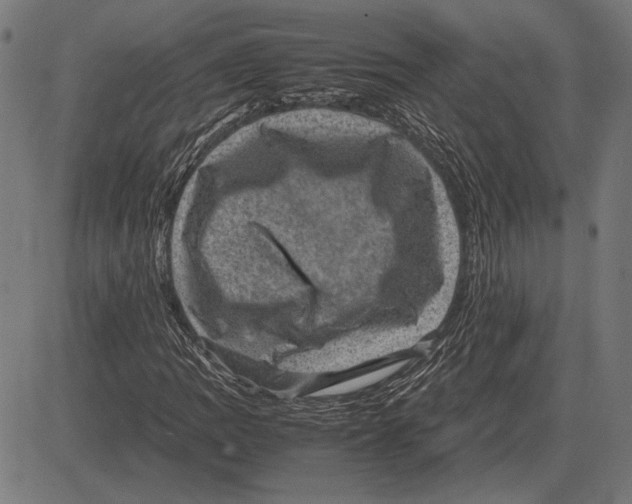 X0000081471109200702021825