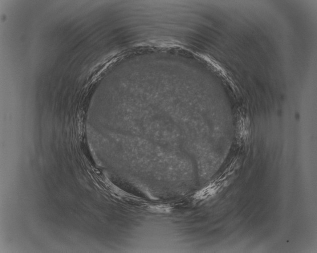 X0000081471110200702021825