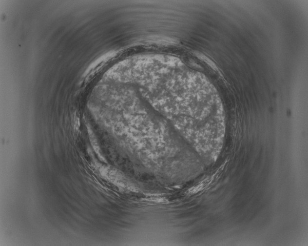 X0000081471112200702021825