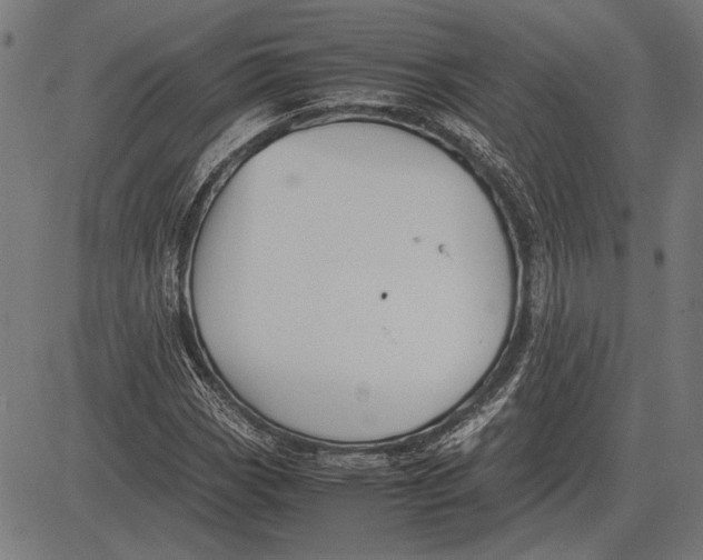 X0000081471113200702021825